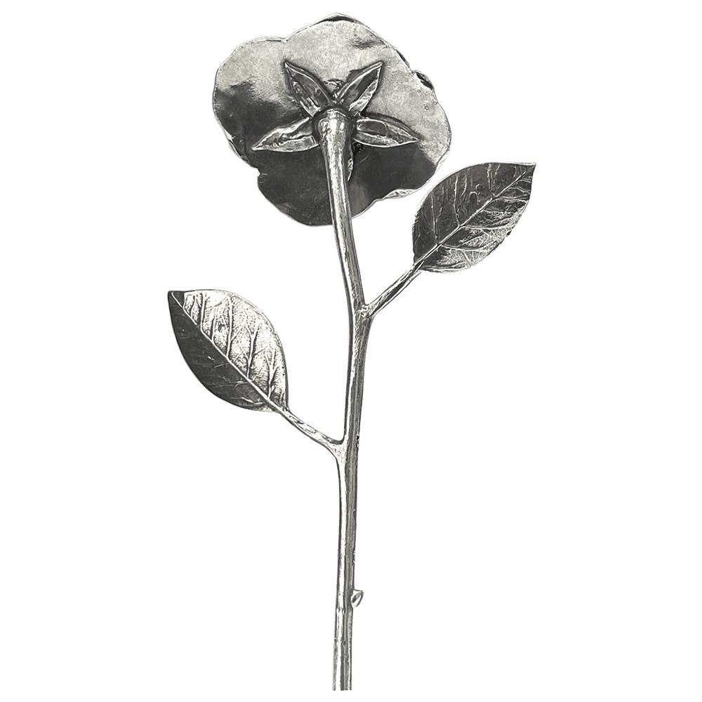 Everlasting Forever Rose Keepsake Gift